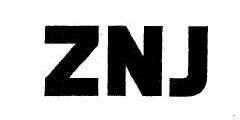 南轴ZNJ